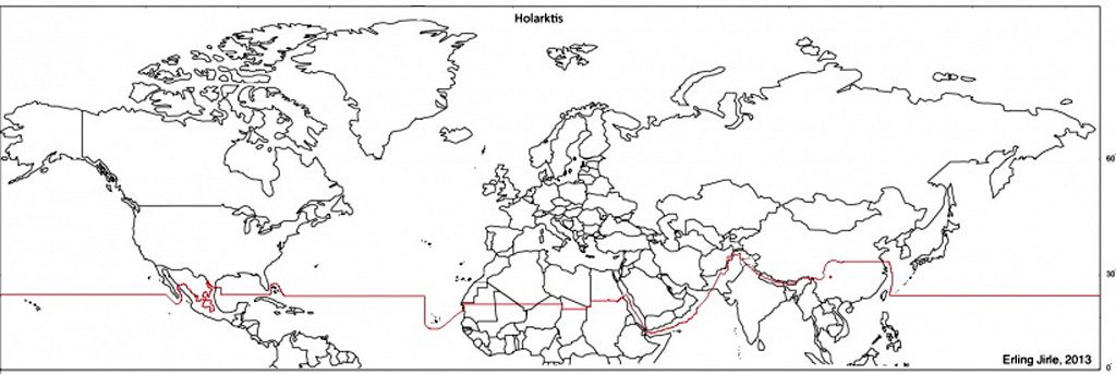 Holarktis: karta & definition - BirdLife Sverige