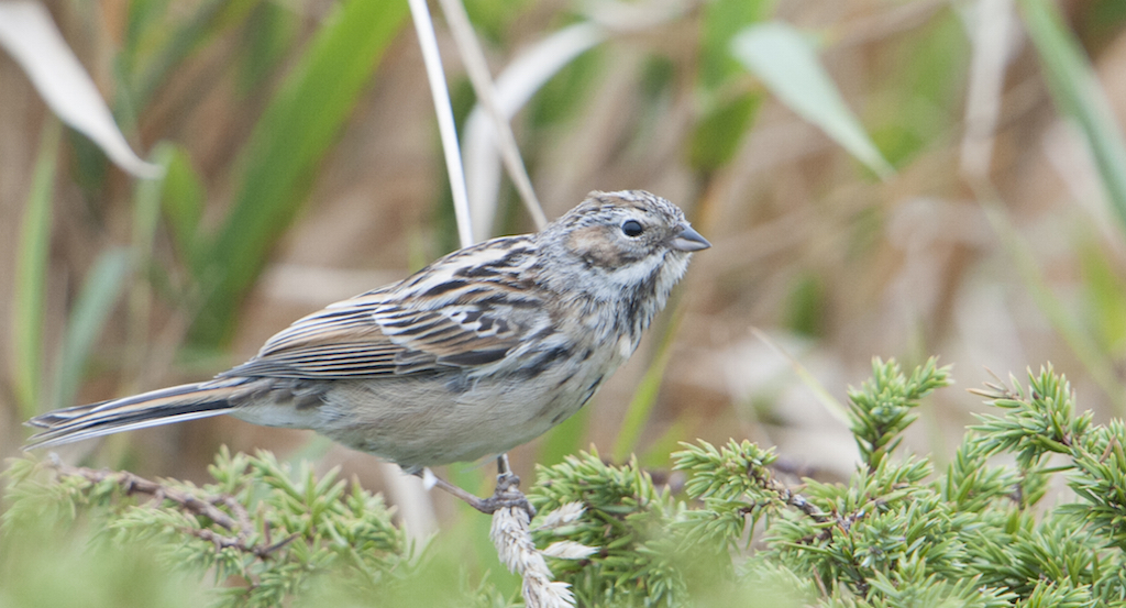 Ufada jinsiy aloqa uchun etuk ayollar bilan tanishish