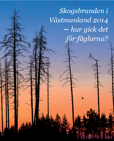 Skogsbranden i Västmanland 2014