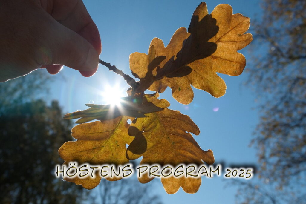 höstprogram25