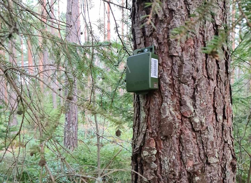 Ljudbox