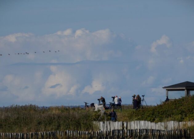 NOFs resa till Falsterbo blir den 23-27 september.