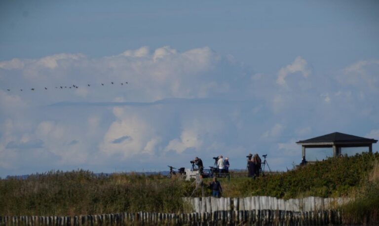 NOFs resa till Falsterbo blir den 23-27 september.