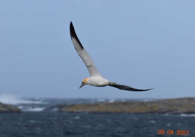 Foto: Ralf Karlsson: