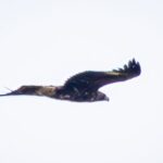IMG-20251016-WA0007