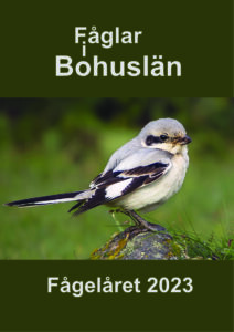 Fågelåret 2023