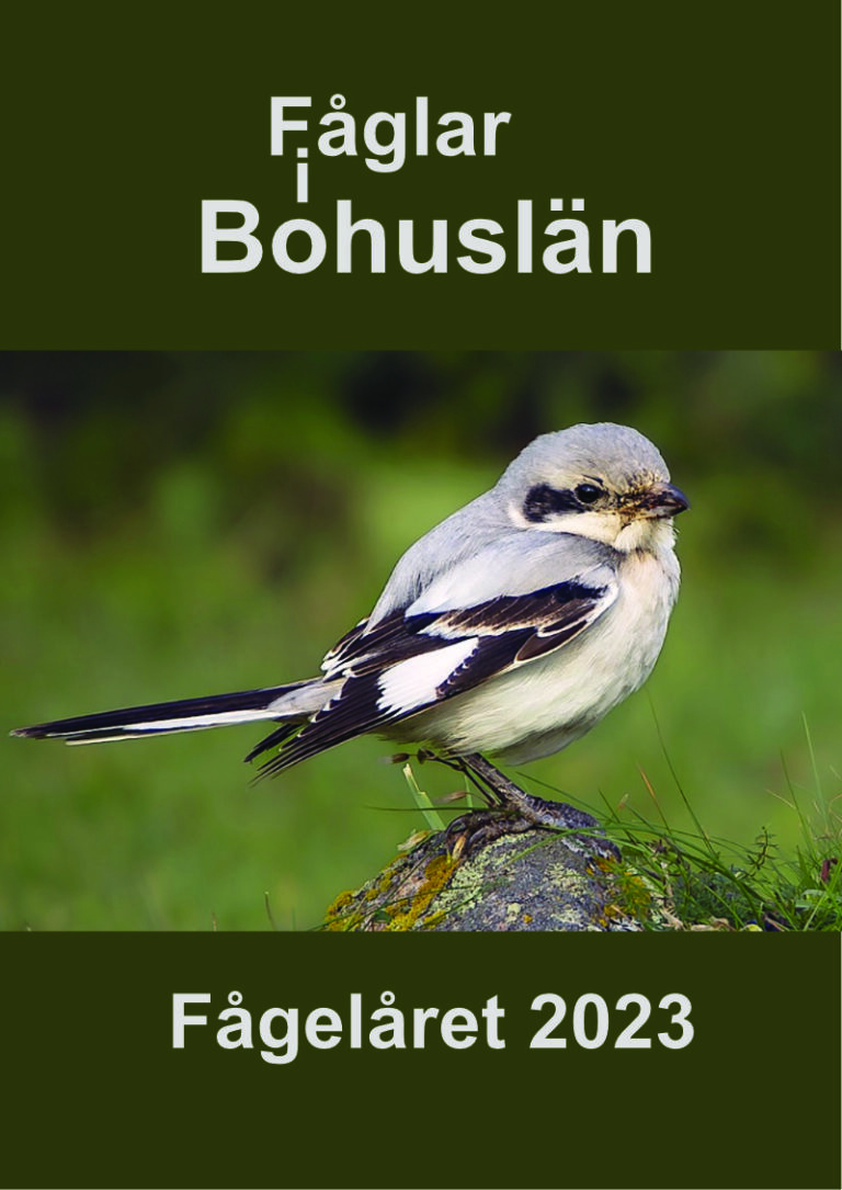 Fågelåret 2023