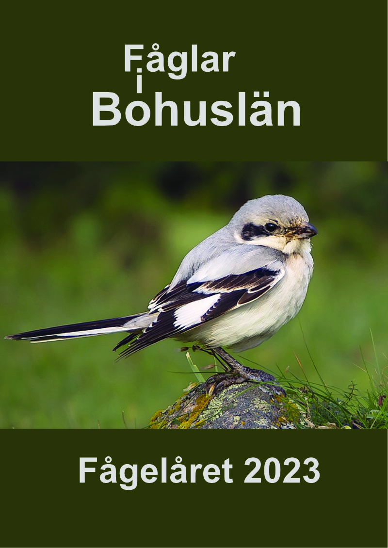 Fågelåret 2023