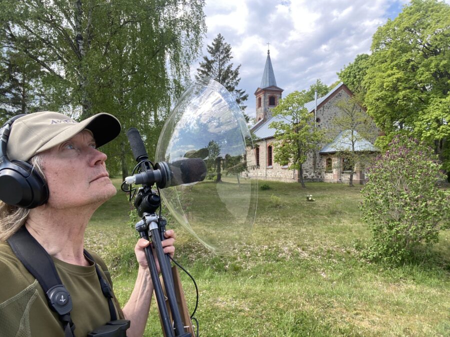 Recording and analysis of birdsong Falsterbo Bird Show EN